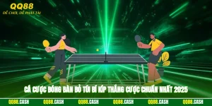 Cá Cược Bóng Bàn - Bỏ Túi Bí Kíp Thắng Cược Chuẩn Nhất 2025