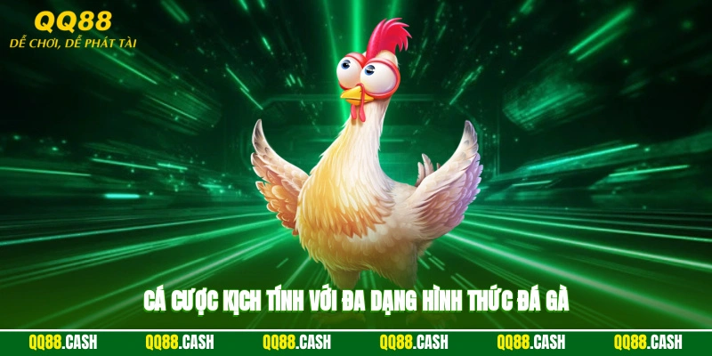 Cá cược kịch tính với đa dạng hình thức đá gà